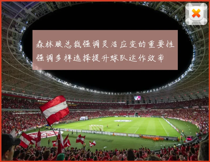 森林狼总裁强调灵活应变的重要性强调多样选择提升球队运作效率