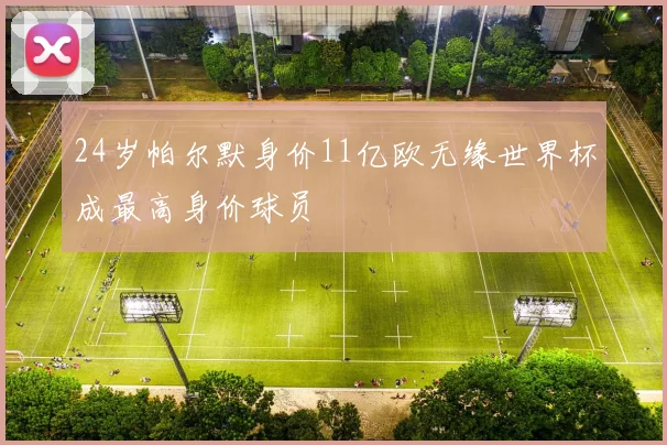 24岁帕尔默身价11亿欧无缘世界杯成最高身价球员